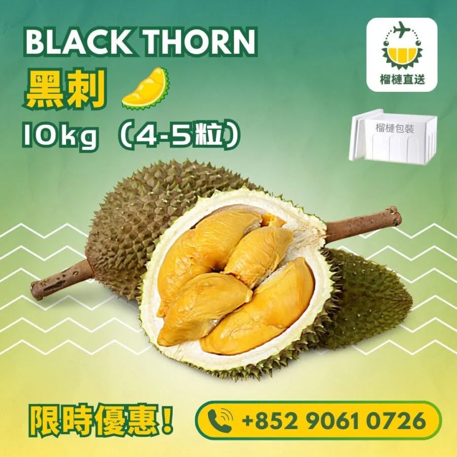 黑刺 Black Thorn