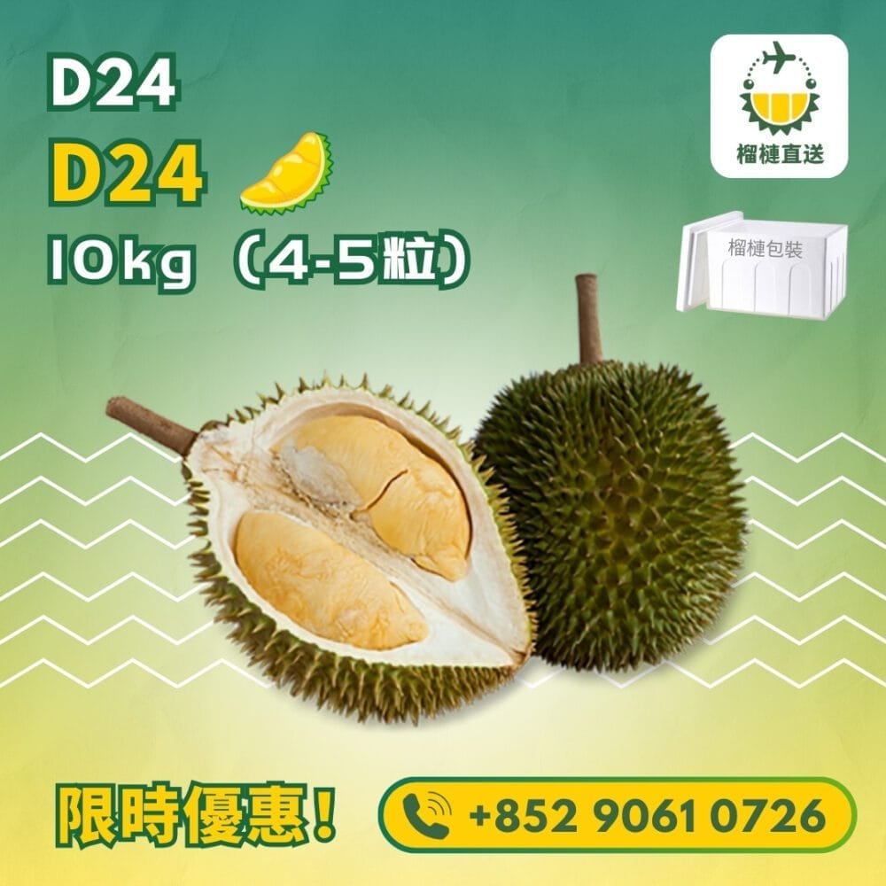 D24 榴槤