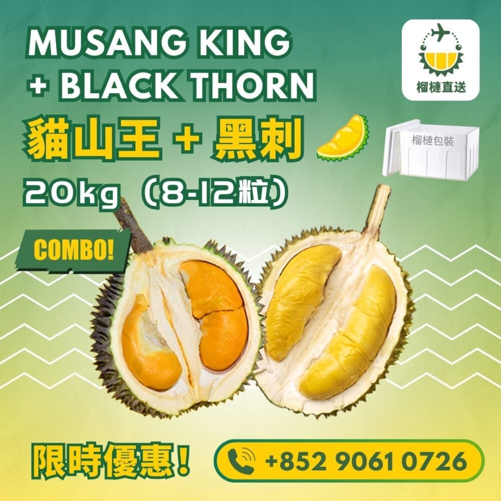 黑刺貓山王 組合套餐