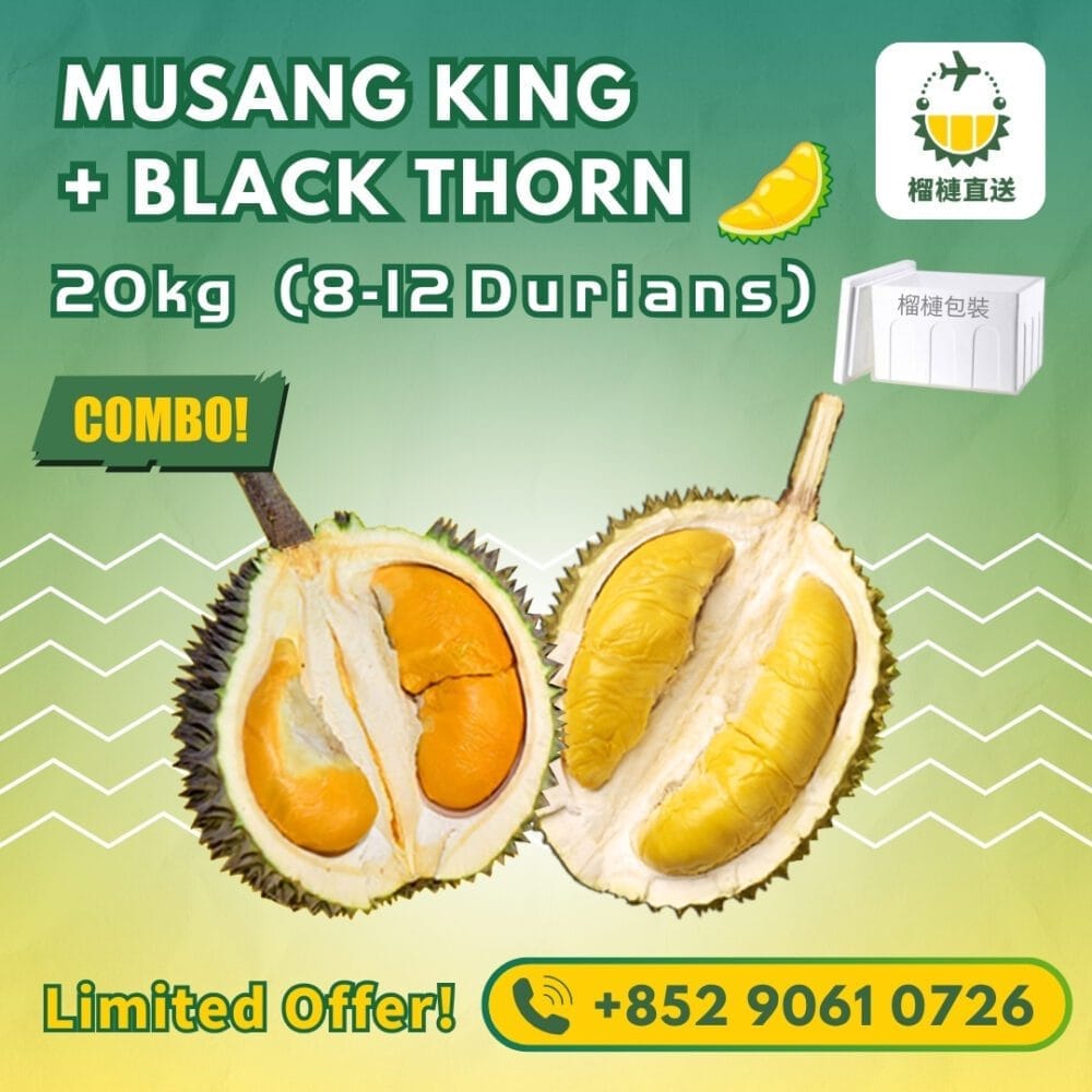 Black Thorn Musang King Durian Combo